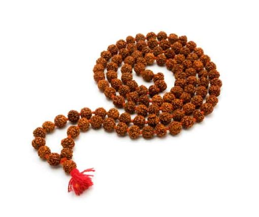 Glory-and-Importance-of-Rudraksha