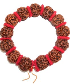 Five Face Rudraksha Bracelet